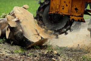 Stump Removal & Grinding