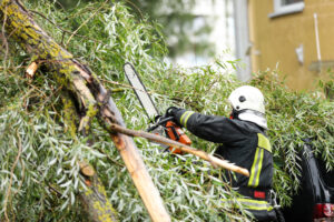 Storm Clean-Up